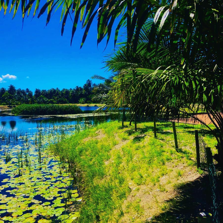 Reserva Do Paiva - A Melhor Casa Para Temporada Recife Eksteriør billede